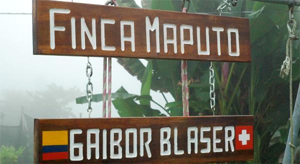 A Visit to Finca Maputo, Ecuador