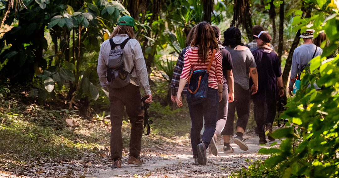 Friends Walking on Coffee Farm