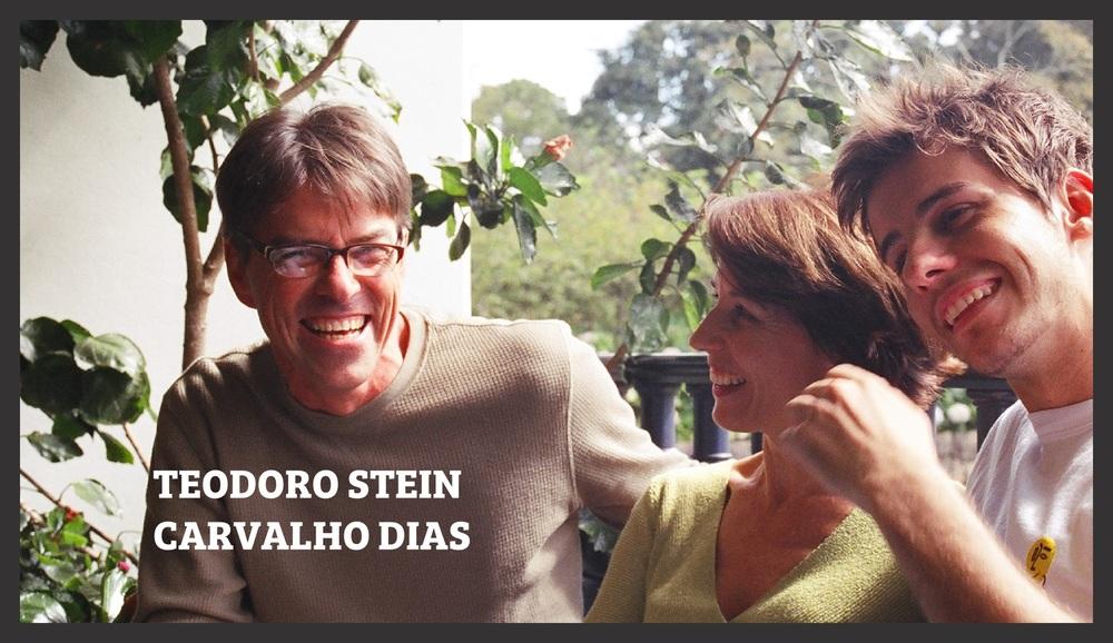 Teodoro Stein