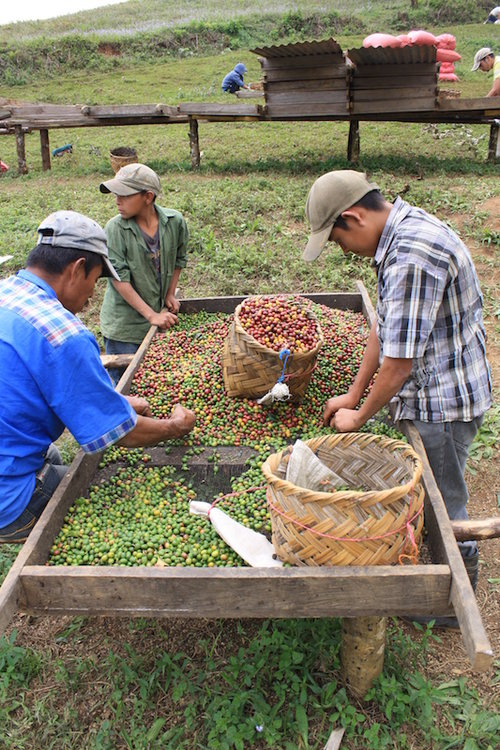 Farmers at Finca San Jose de las Nubes Nicaragua Coffee Farm