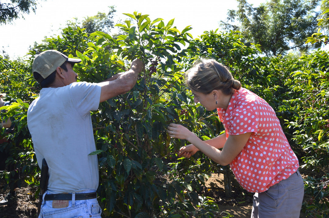 Guatemala: Education Tour