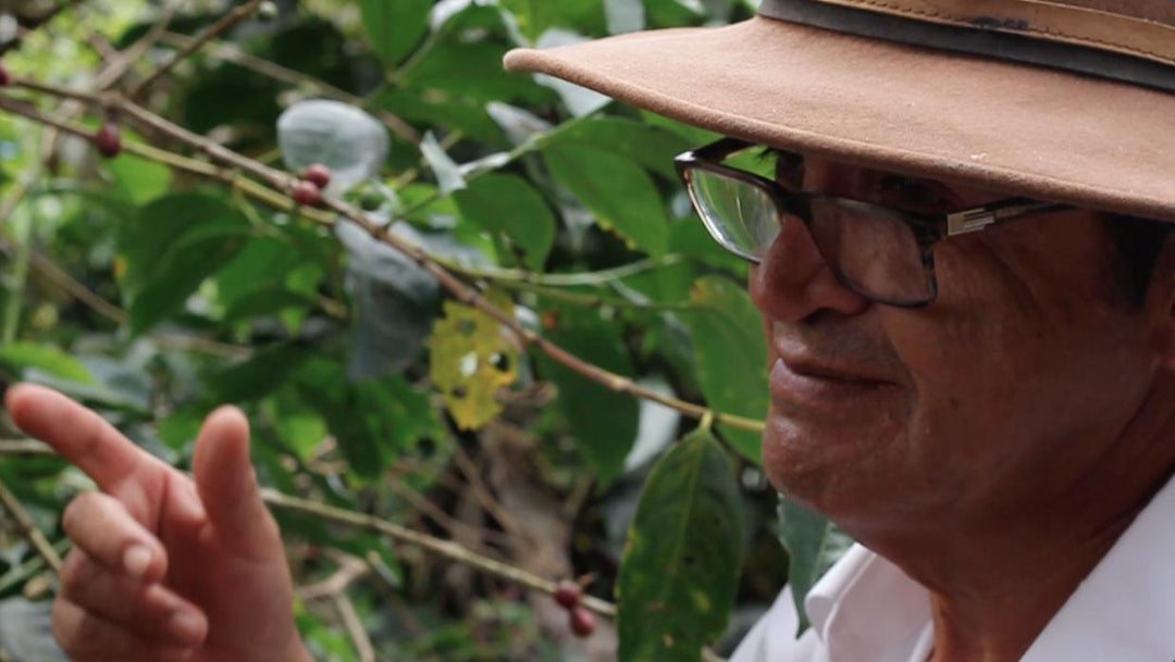 Coffee Relationships, In Good Times and Bad, with Ecuador Finca Maputo