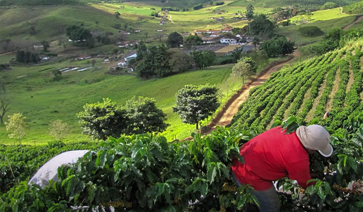 How does coffee get to your cup? Exploring urban freight in Portland with Nossa Familia Coffee