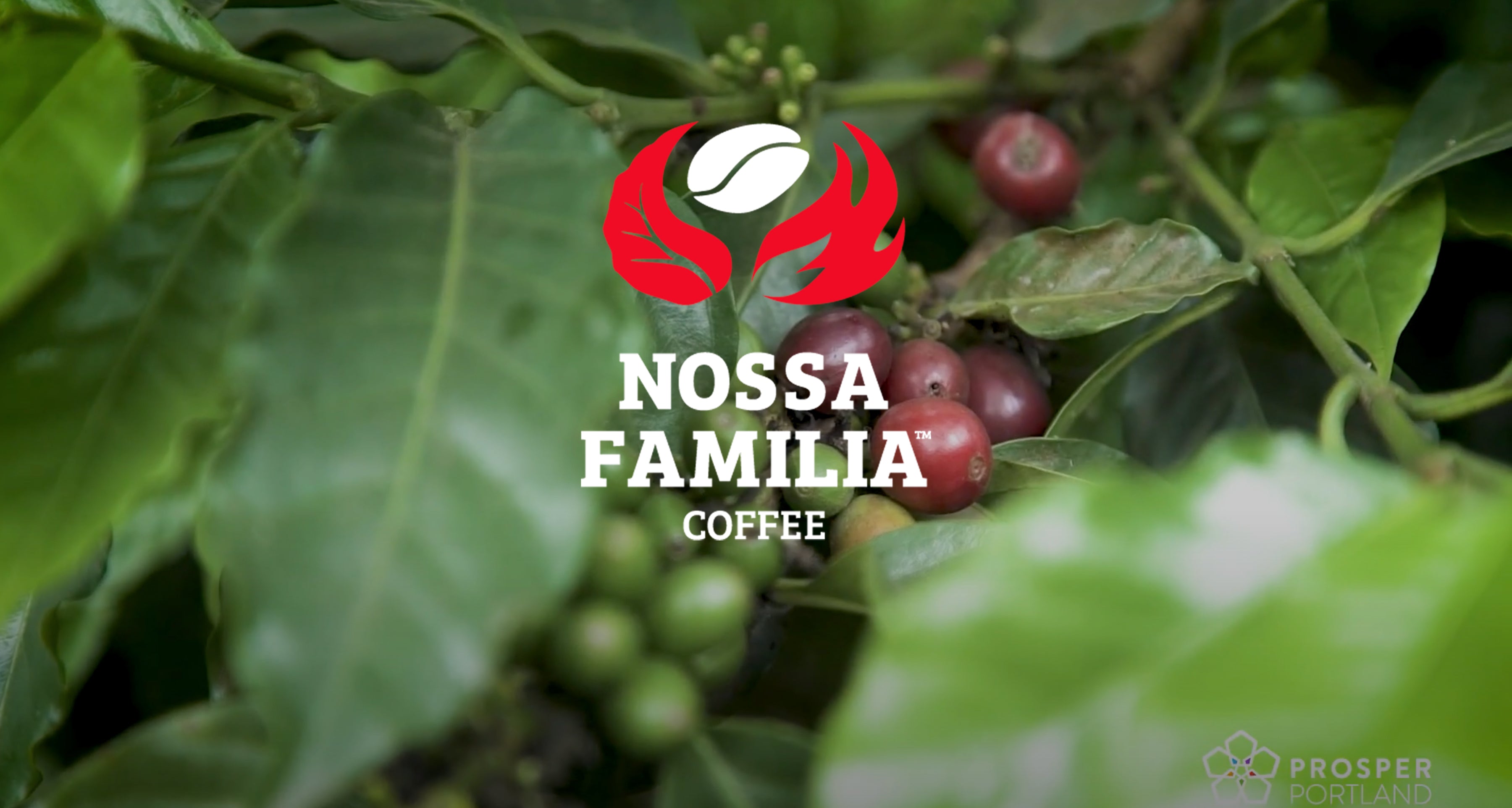 The Story of Nossa Familia in Partnership with Prosper Portland