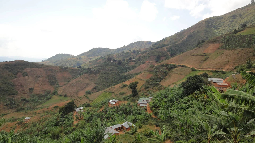 Union y Fe’s Valle del Condor