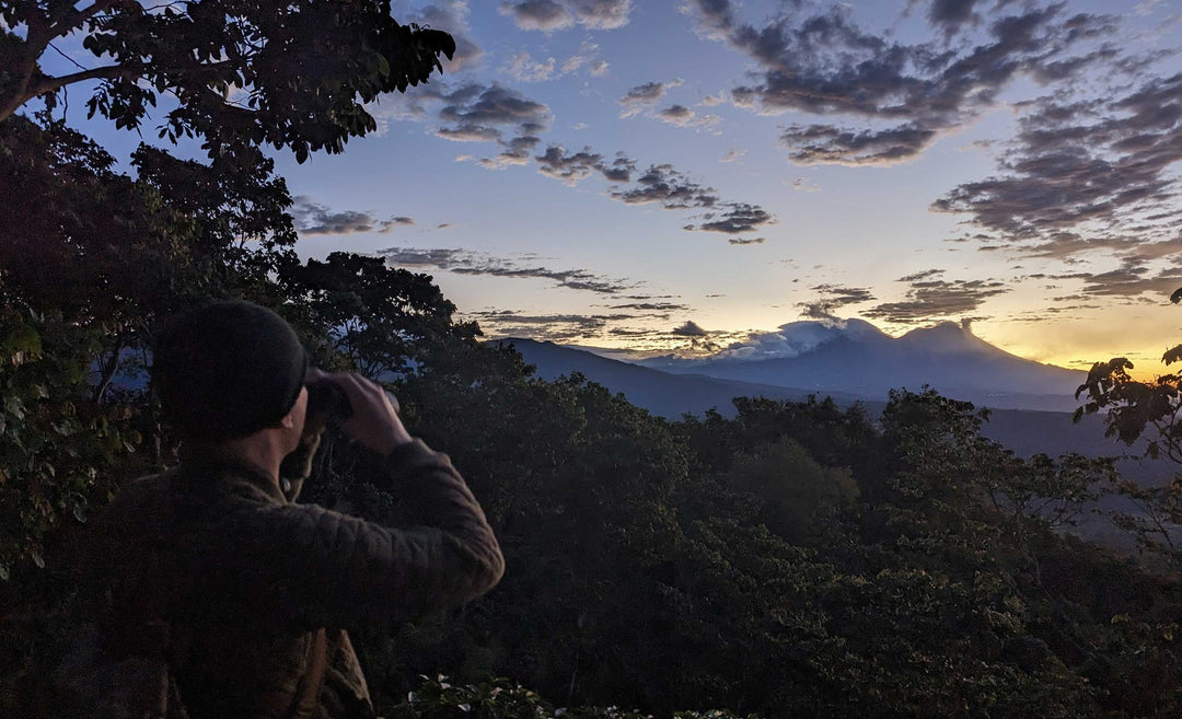 coffee tour workshop