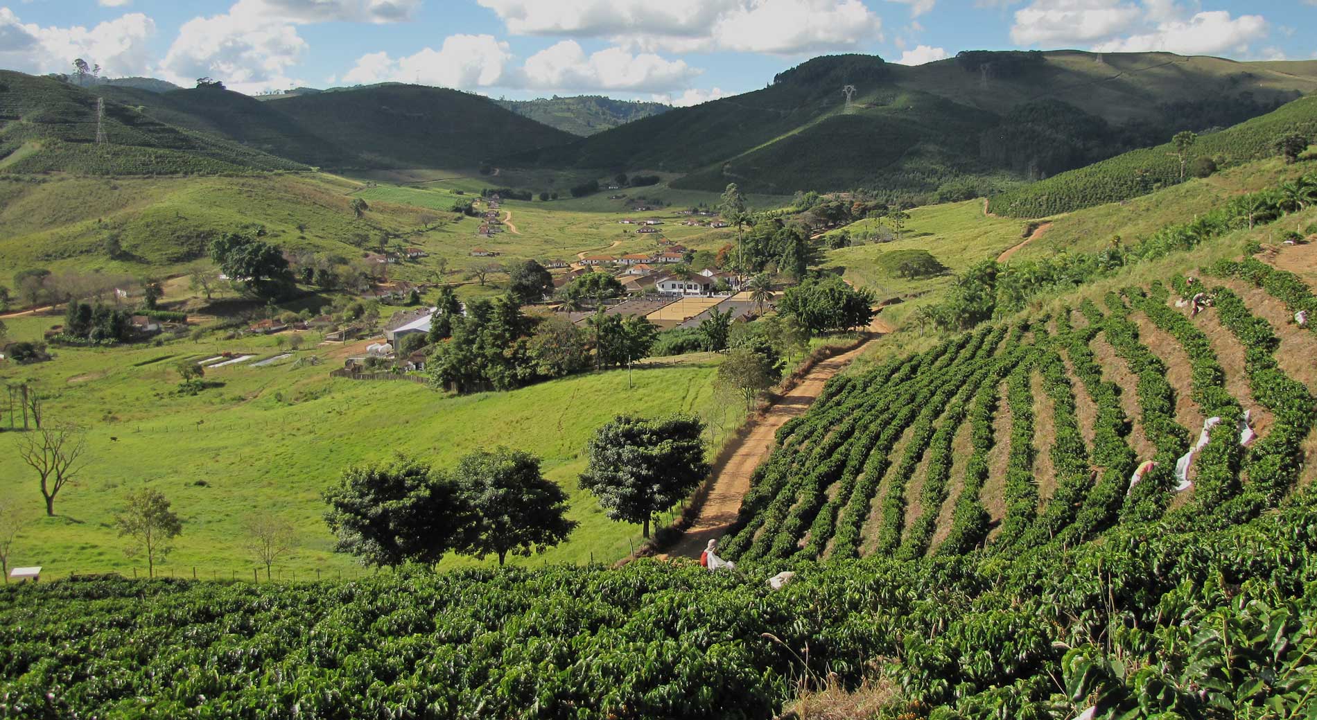 Nossa Familia Coffee - Direct Trade Sustainable Specialty Coffee