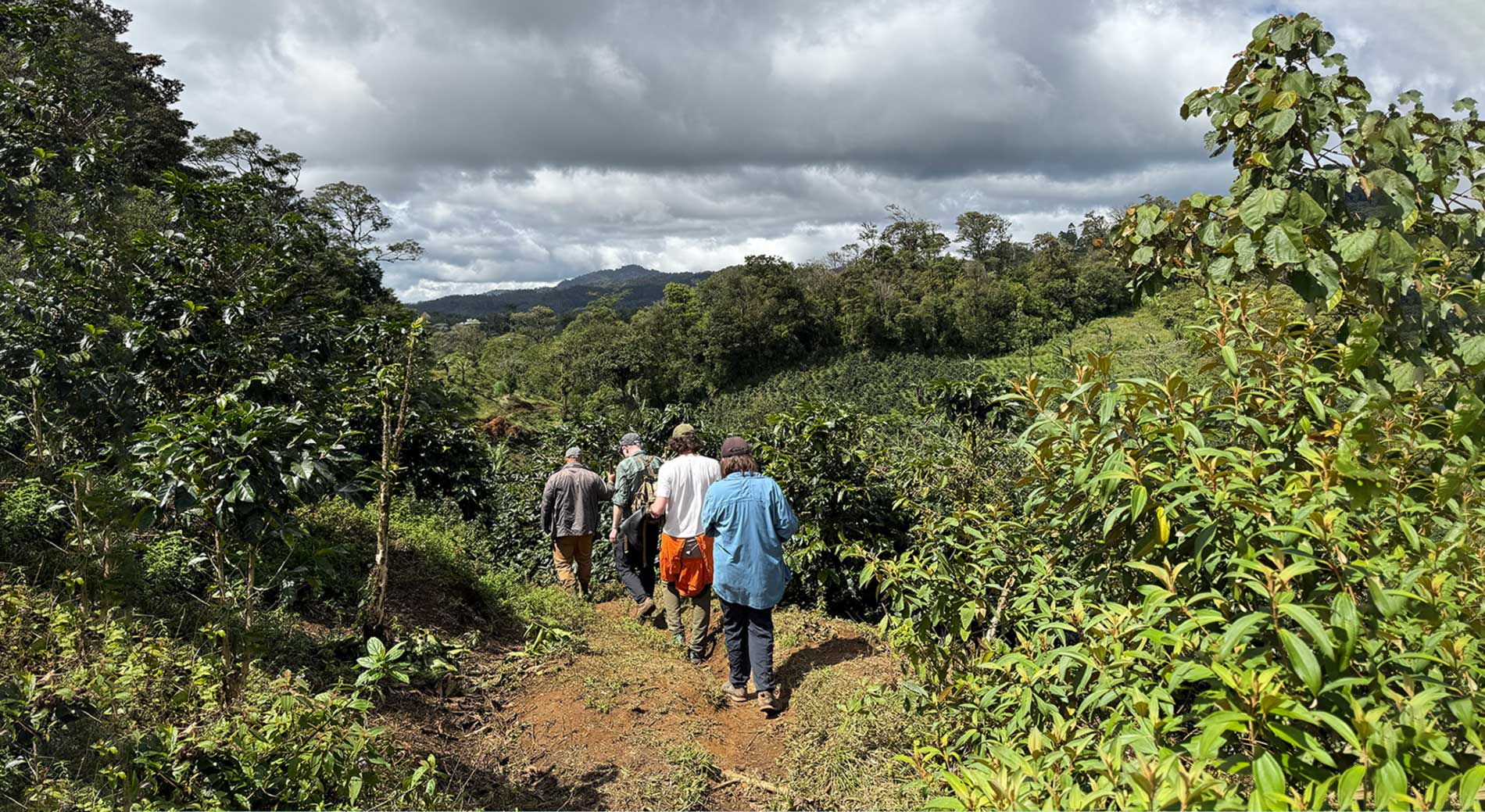 Nossa Familia Coffee - Direct Trade Sustainable Specialty Coffee