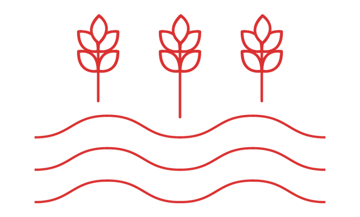 Coffee Farm Icon