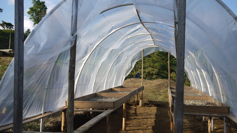 Nicaragua - Finca San Jose de las Nubes - Salvaje