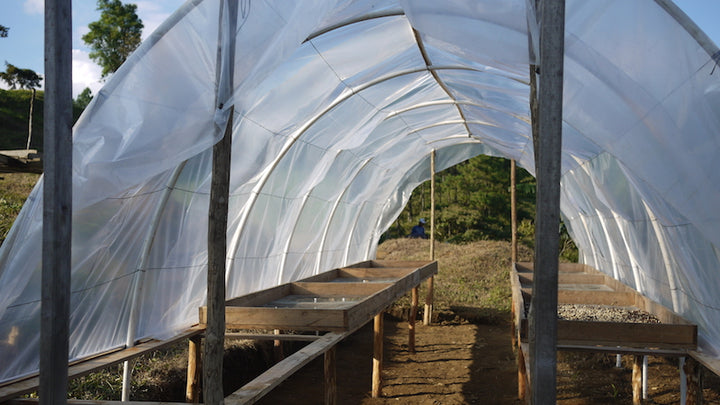 Nicaragua - Finca San Jose de las Nubes - Salvaje