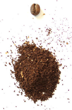 Pour Over Brewing Guide Nossa Familia Coffee