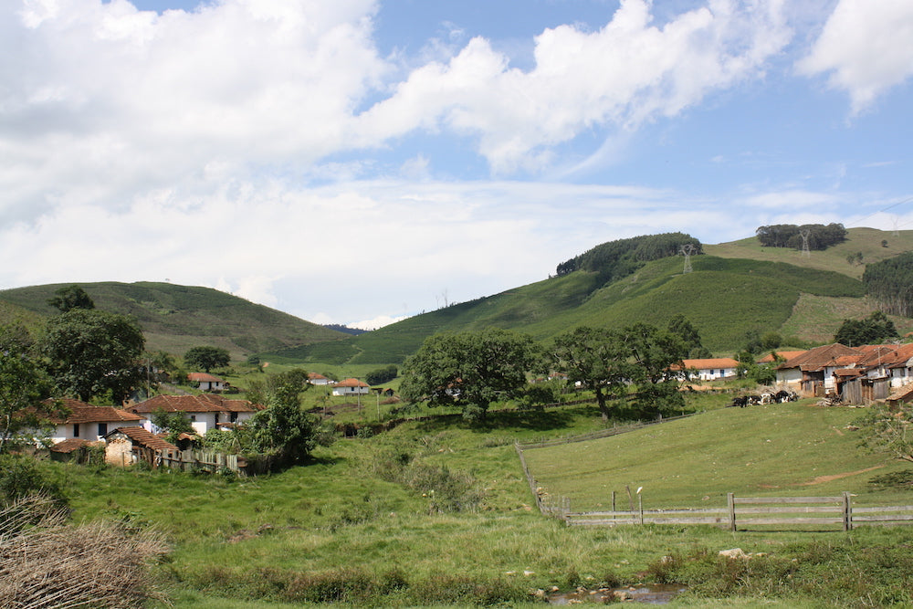 Coffee from our family farm, Fazenda Recreio in the highlands of Brazil.