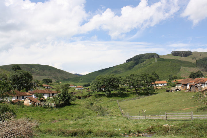 Coffee from our family farm, Fazenda Recreio in the highlands of Brazil.