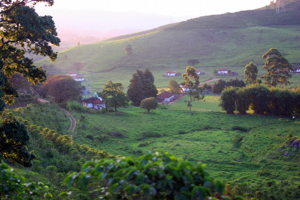 View of Nossa Familia's family farm, Fazenda Recreio in the highlands of Brazil.
