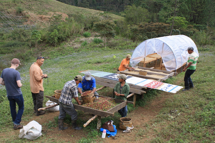 Nicaragua - Finca San Jose de las Nubes - Washed Process